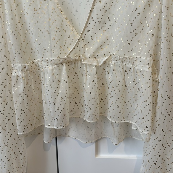 Sunday Best- sheer, gold dot cropped blouse - Picture 3 of 6